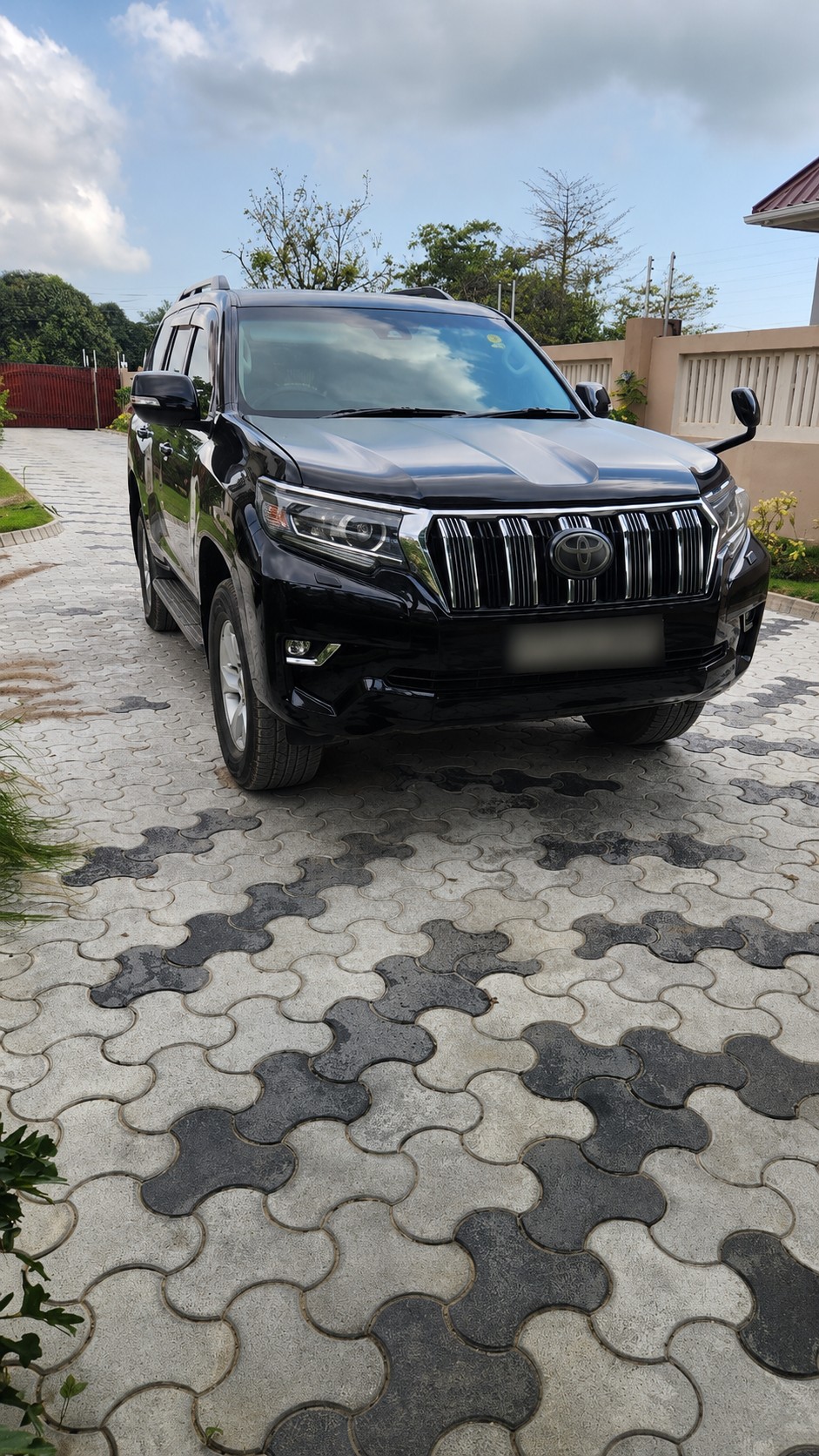 Executive Transport
